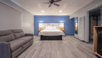 A modern hotel room with a large bed, gray couch, ceiling fan, and blue accent wall, featuring wooden floors and minimalist decor always ending the sentence.