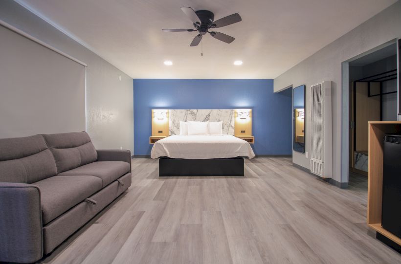 A modern hotel room with a large bed, gray couch, ceiling fan, and blue accent wall, featuring wooden floors and minimalist decor always ending the sentence.