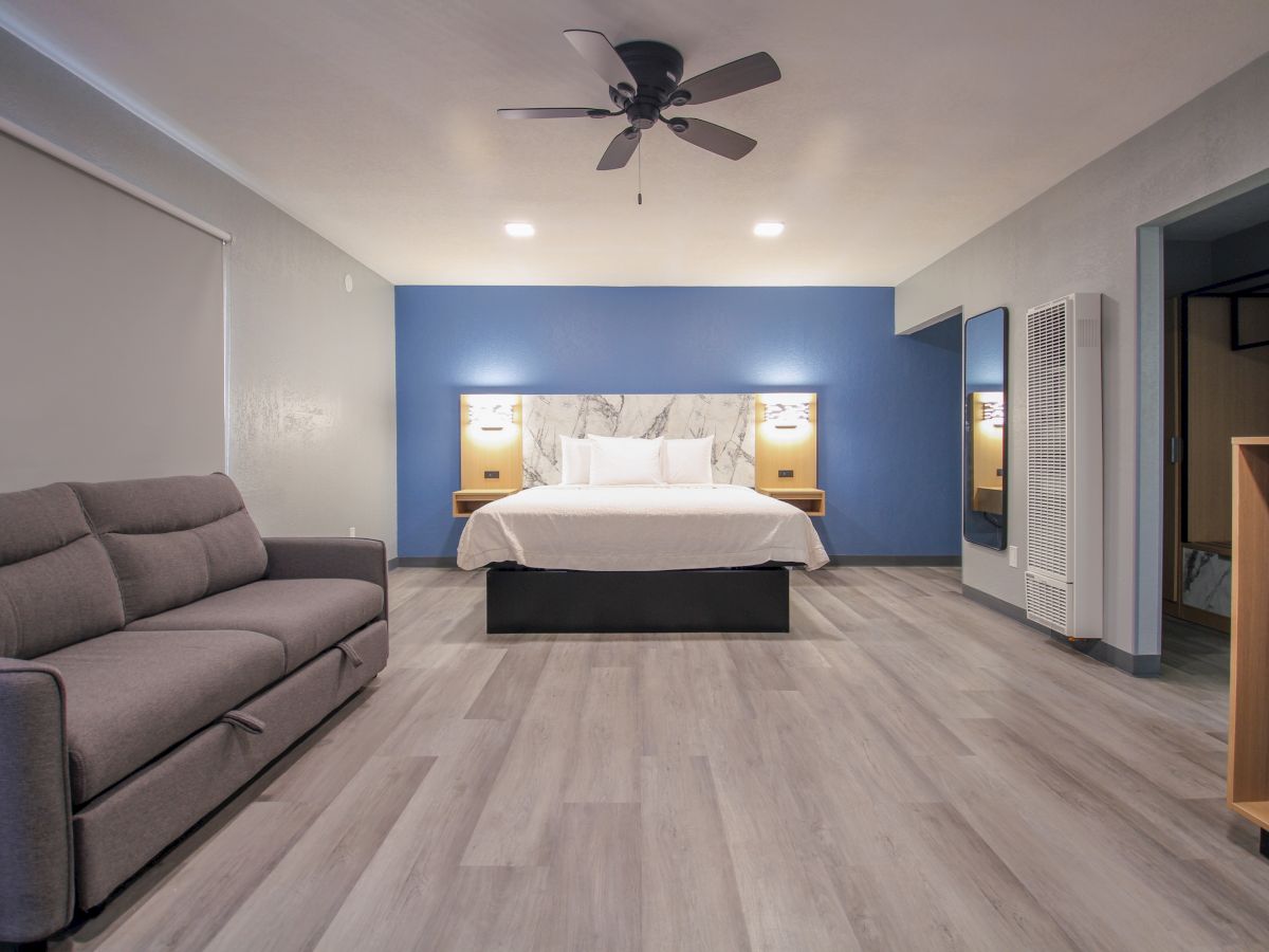 A modern hotel room features a large bed, a sofa, a ceiling fan, a blue accent wall, nightstands with lighting, and wooden flooring.