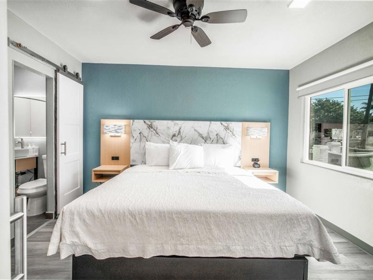 A modern bedroom with a neatly made bed, blue accent wall, ceiling fan, and a large window. There's an adjacent bathroom visible.